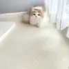 Tapete de cor sólida que pode ser cortado para criar tapetes para cabeceira, quarto, janela saliente, escritório, sala de estar ou qualquer outro tipo de tapete.