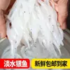 Pescado Plateado de Agua Dulce de Suzhou, Pescado Plateado Pequeño Fresco, Fresco y Congelado con Envío Gratis, Suplemento Alimenticio para Bebés, Producto Acuático, Pescado Plateado No de Taihu ni Chaohu