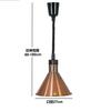 Lustre de isolamento térmico para alimentos restaurante lustre telescópico lâmpada suspensa de cabeça única lâmpada de aquecimento de alimentos para buffet