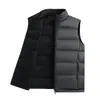 Chaleco de plumón de alta calidad de talla grande para hombre, doble cara, para invierno, corte holgado, cuello alto, cálido, top casual para pareja, moderno