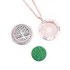 Collar Difusor de Aromaterapia para Mujer, Colgante Hueco en Oro Rosa, Puede Contener Aceites Esenciales, Apertura y Cierre Magnéticos, Venta al por Mayor de Joyería