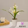 Arranjo de Flores Artificiais Personalizado Pequeno Bonsai de Magnólia com Três Folhas e 5 Flores para Sala de Estar e Estudo Decoração Criativa em Mesa de Trabalho