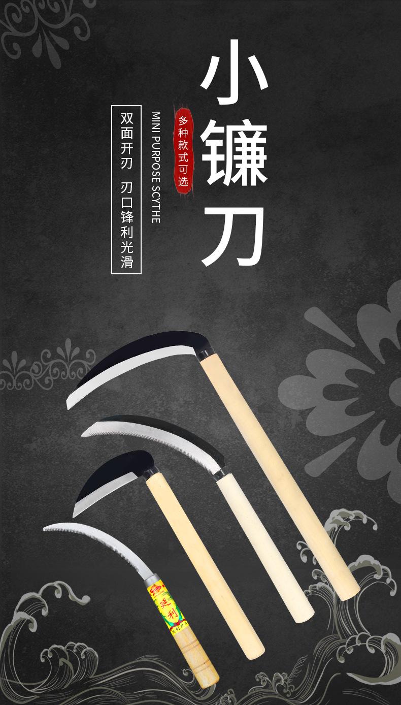 详情_01.jpg