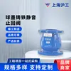 Shanghai Hugong Válvula de Retenção Silenciosa de Ferro Fundido Dúctil H42X-16Q Válvula de Retenção Unidirecional Silenciadora Válvula de Retenção Flangeada