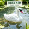 Novos ornamentos flutuantes de cisne negro e cisne branco artificiais para lagos de jardim, para decoração de paisagismo externo na Rússia e no Canadá