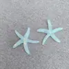 Cola de Concha de Pescado Estrella de Mar Serie Oceánica Accesorios de Resina Hecho a Mano DIY Parche para Funda de Teléfono Móvil Accesorios para Pasadores de Pelo