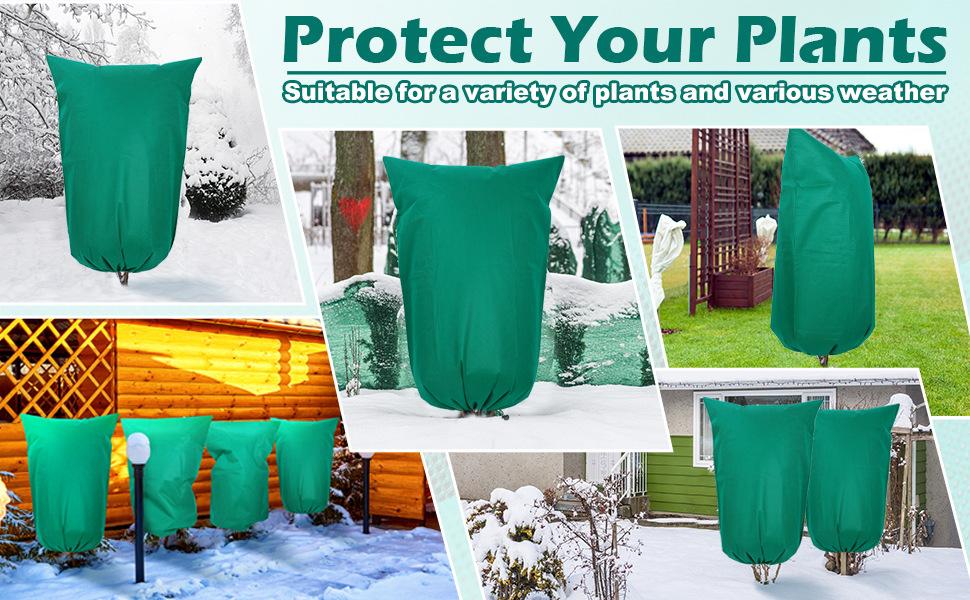 dbe975fc-35e9-4b8f-a853-9cd3ef