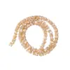 Concha de Herradura Natural Bambú Cuentas Sueltas Nicho Pareja Hecho a Mano DIY Pulsera Collar Accesorios de Joyería Venta al por Mayor