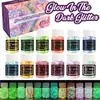Polvo de Lentejuelas Luminosas con Brillo Transfronterizo 12 Colores Mezclados Polvo de Brillo Fluorescente Pegamento Flujo de Cáñamo DIY Lentejuelas Luminosas para Uñas