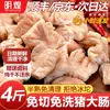 Tripas de Cerdo Frescas Semi-Cocidas, Bajo en Grasa, No Requieren Limpieza, Tripas de Cerdo Congeladas, Vísceras de Cerdo Congeladas para Uso Comercial