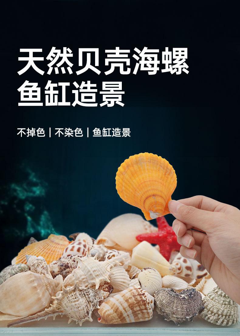 贝壳详情_01.jpg