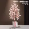 Árbol del Dinero de Citrino Natural Árbol de Amatista Rosa Adornos Decoración de Estación de Trabajo de Oficina Hogar Escritorio Cornucopia