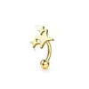 Piercings de Sobrancelha de Aço Inoxidável Moda Transfronteiriça, Piercings de Hélice, Piercings de Sobrancelha Cravejados com Zircônia, Joias de Piercing Finamente Esculpidas, Novos Estilos Feitos Sob Medida