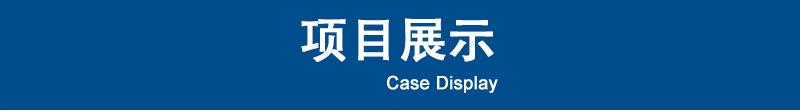 项目展示