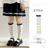 Calcetines de Tobillo de Lunares Florales para Niñas, Estilo Coreano, Calcetines a Cuadros con Lazo de Media Caña, Calcetines Largos Versátiles para Bebés Niñas