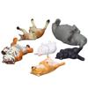 6 2 Generación Animal Adormilado Z00 Serie Adormilada Tigre Perro Chai Conejo Material Paisaje Muñeca Opción Única
