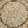Granos Grandes de Cebada Estilo Granja, Semillas de Cebada y Granos Mixtos para Cocinar Gachas y Sopa. Soporta Dropshipping, Venta al por Mayor y Venta al por Menor