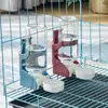 Bebedero para Conejos Hámster Totoro Cobaya Tetera Paloma Bebedero Jaula para Perros Gatos Dispensador de Agua