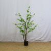 Flores Artificiais, Plantas Verdes Reais, Campanula Japonesa, Horsewood, Árvores Artificiais, Decoração de Interiores, Plantas em Vasos, Paisagismo, Árvores Falsas Atacado