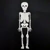 Producto Nuevo Transfronterizo Modelo de Ensamblaje de Esqueleto Humano de 90 cm DIY Estructura Simple Reconocimiento Ensamblaje de Articulaciones Modelo Juguete