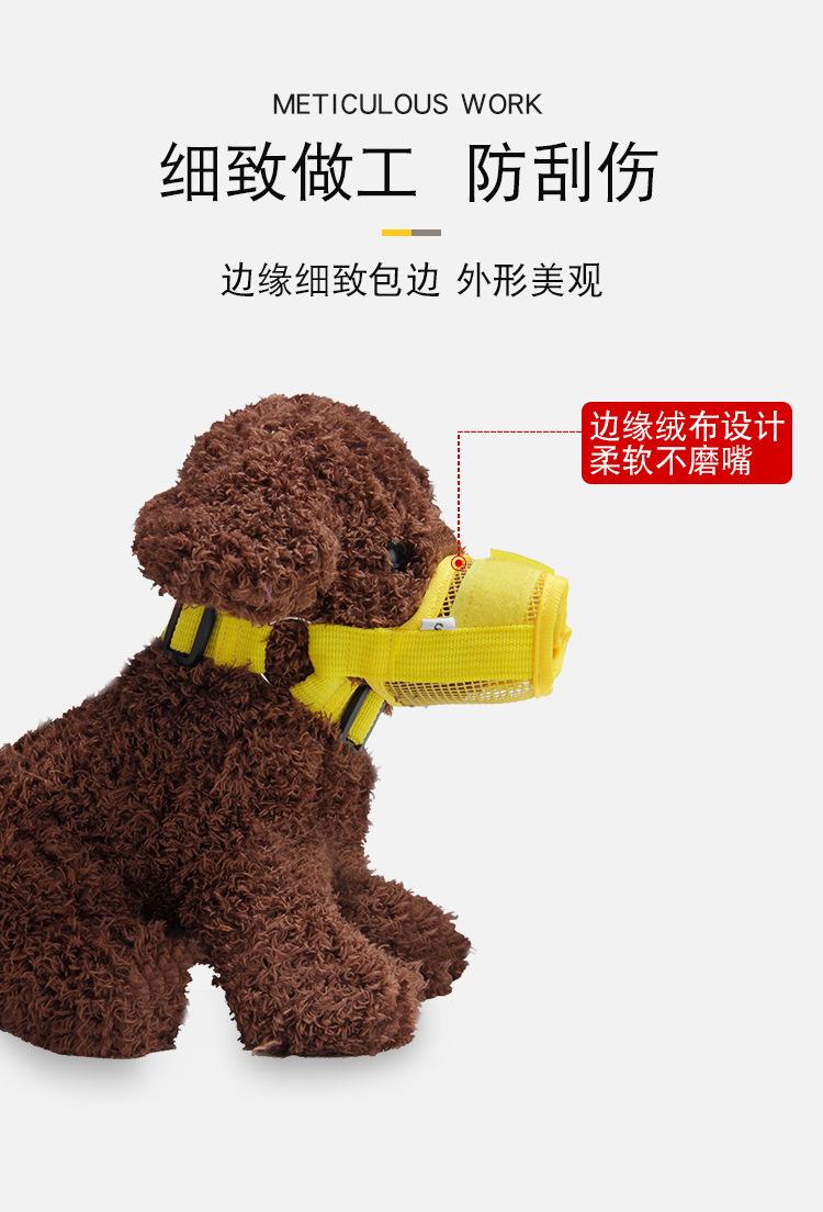 13263044109_1434082050