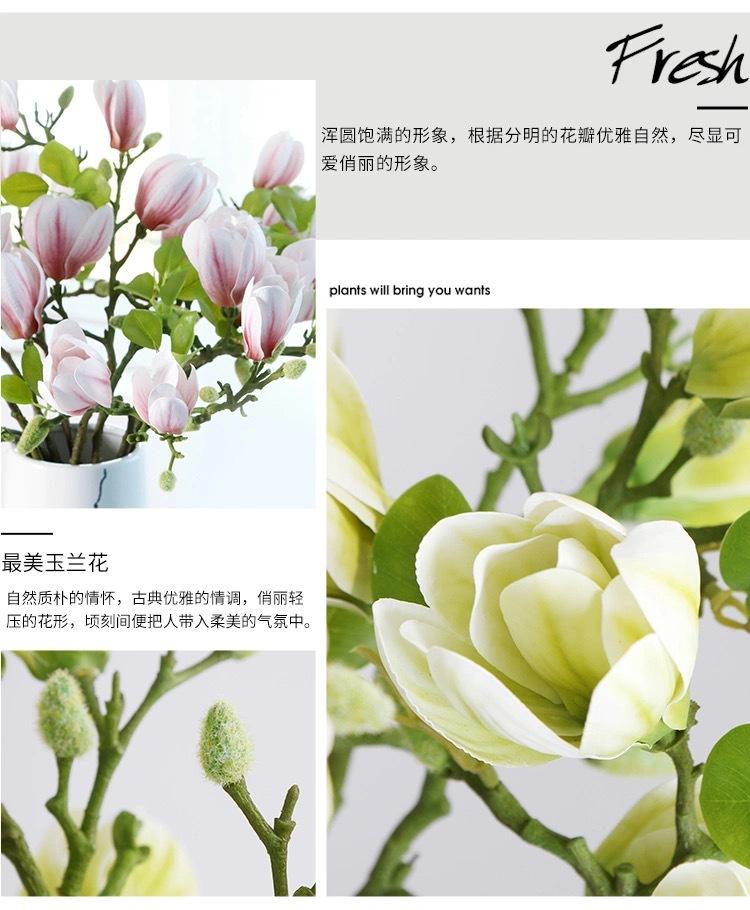 微信图片_202102162258442