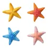 Micro-paisaje Creativo Realista Estrellas de Mar de Colores Acuario Marino Paisajismo DIY Accesorios Decorativos Eco-botella Pequeños Adornos