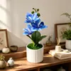 Bestseller transfronterizo de Amazon: Planta artificial de Phalaenopsis en maceta, flores artificiales de magnolia, exhibición de decoración para el hogar