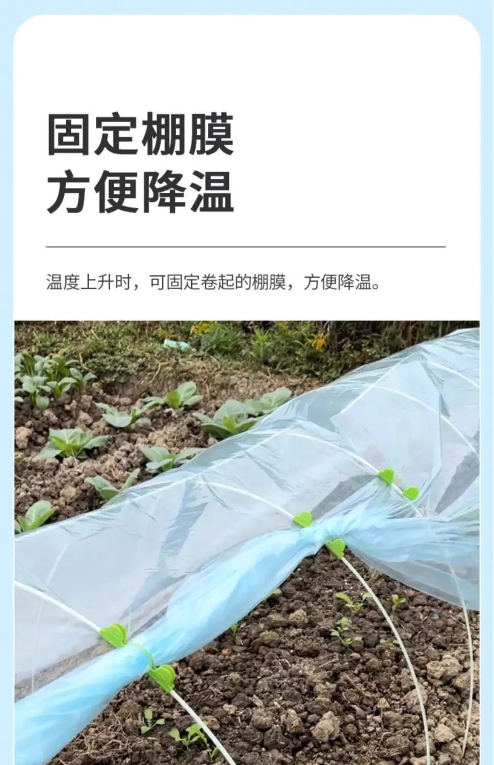 手机端图片6.jpg