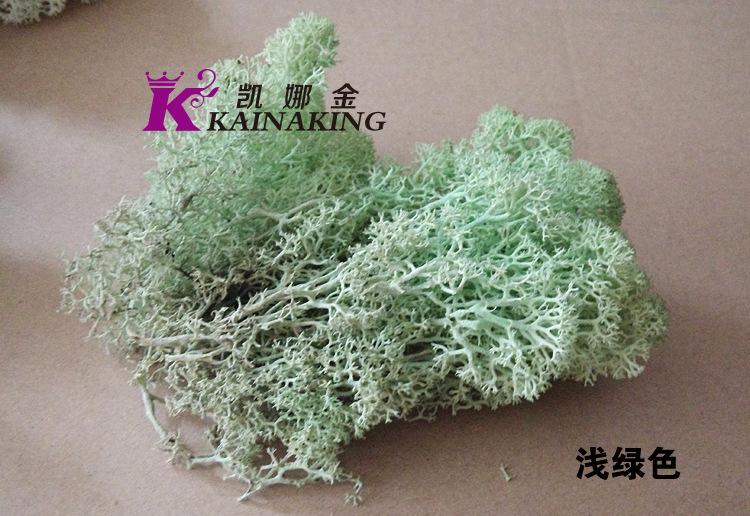 浅绿色