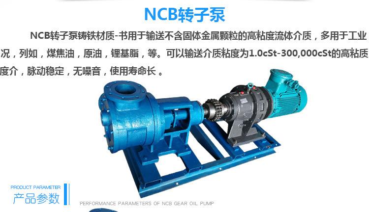 NCB铸铁_02