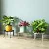 Suporte de flores para sala de estar, de chão, para varanda, uso doméstico interno, arte em ferro, de mesa, vazado, estilo creme, suporte para vaso de flores
