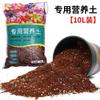 Madera Brasileña Suelo Cultivo de Flores Suelo Nutritivo Universal Ladrillo de Coco Maceta Abono Orgánico Suelo para Flores Antibacteriano