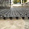 Techo Estanque de flores Almacenamiento Tablero de drenaje Pendiente del techo Ecologización Aislamiento térmico Patio Flores y plantas Plantación Raíz Almacenamiento Tablero de drenaje