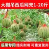 Bolsa de red de plástico roja engrosada con cuerda para colgar sandías en invernaderos, adecuada para melón cantalupo