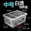 Terrario Profesional para Mascotas Caja de Excrementos para Reptiles Grande Mediano Pequeño Caja Arborícola Caja Cuadrada Pequeña Araña Doble Apertura Anti-Escape Hierba