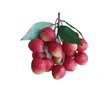 Modelo de Fio de Lichia Simulada Feizi Xiaolongan Longan Frutas Plásticas Falsas Adereços de Fotografia Decoração de Modelo Sala de Aula Materiais Didáticos