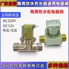 Válvula Solenoide Xiangjun 220V Calentador de Agua Resistente a Altas Temperaturas Válvula de Agua Caliente Resistente a Altas Temperaturas DC12V Sin Presión 24V 4