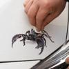 Escorpión Araña Lagarto 3D Personalizado Creativo Transparente Calcomanía para Coche Adecuada para Logo de Coche Cubierta de Carrocería Calcomanía para Rasguños