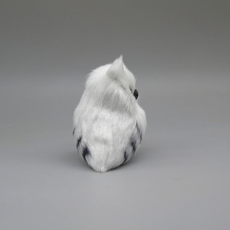 小白猫头鹰2