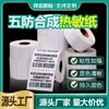Etiquetas de Papel Sintético Térmico à Prova de Cinco Fatores, À Prova d'Água, À Prova de Óleo, Resistente a Rasgos, Resistente à Abrasão, Resistente a Baixas Temperaturas Papel de Código de Barras, Papel de Etiqueta Térmica