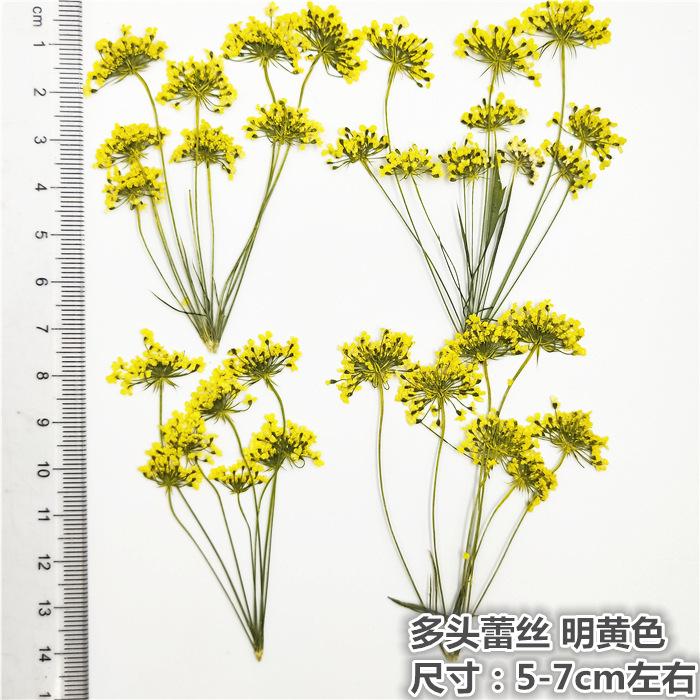 IMG20180626165503