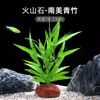 Plantas de Acuario, Decoraciones de Paisajismo con Césped Real, Plantas Aptas para Principiantes, Crisantemo Verde Ciempiés, Plantas de Sombra, Piedra Volcánica, Plantas Verdes Purificadoras de Agua
