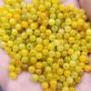 Jade jade amarillo jade cuentas jade cuentas sueltas amarillo fluorescente pulsera collar accesorios cuentas de jade hechas a mano venta al por mayor