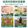 Adubo para Bougainvillea Flor de Ameixa Folha Amarela Planta em Vaso Bonsai Granulado de Liberação Lenta Adubo Universal para Jardinagem Adubo Especial para Bougainvillea
