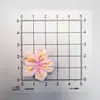 Nova Flor de Pessegueiro Flor de Pessegueiro Galho Pétalas Resina DIY Acessórios de Joias Populares Flor de Pessegueiro Resina Acessórios de Joias Transfronteiriço