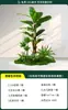 Kit de Paisajismo de Vegetación Artificial, Planta Falsa para Exhibición en Ventana