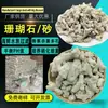 Material Filtrante de Osso de Coral para Filtração de Aquário e Purificação da Água, Estabilizador de pH de Pedra de Coral, Casa para Bactérias Nitrificantes, Meio de Cultura Poroso, Areia de Coral