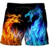 Comércio transfronteiriço 2023 calções de praia masculinos de verão com estampa de chamas 3D moda casual esportiva fabricantes atacado
