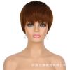 Europa e Estados Unidos cross-border spot segunda mão Europa e Estados Unidos peruca cabelo liso curto mecanismo peruca de fibra química touca Perucas Pixie Cut